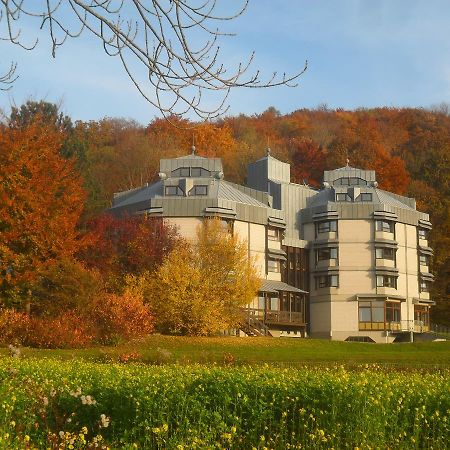 Hellmut-Wassmer-Jugendherberge Loerrach Exteriör bild